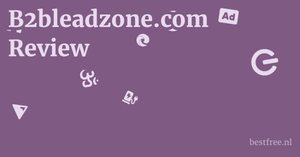 B2bleadzone.com Review 1 by BestFREE.nl
