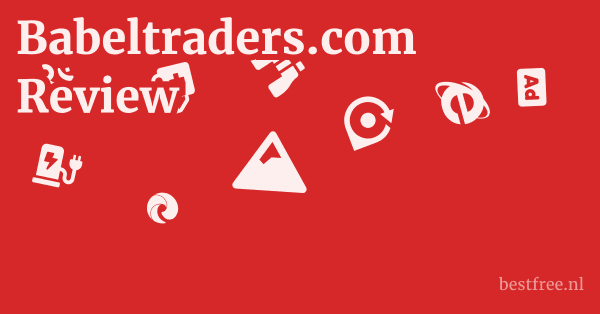 Babeltraders.com Review 1 by BestFREE.nl