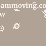 Bambammoving.com Review 9 by BestFREE.nl