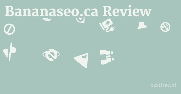 Bananaseo.ca Review 1 by BestFREE.nl