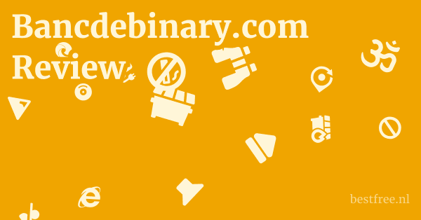 Bancdebinary.com Review 1 by BestFREE.nl
