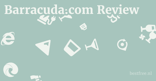 Barracuda.com Review 1 by BestFREE.nl