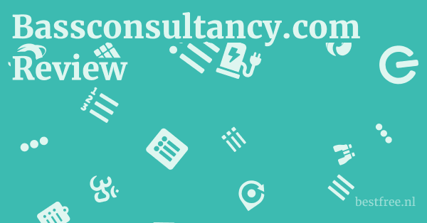 Bassconsultancy.com Review 1 by BestFREE.nl