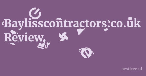 Baylisscontractors.co.uk Review 1 by BestFREE.nl