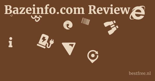 Bazeinfo.com Review 1 by BestFREE.nl