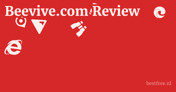 Beevive.com Review 1 by BestFREE.nl