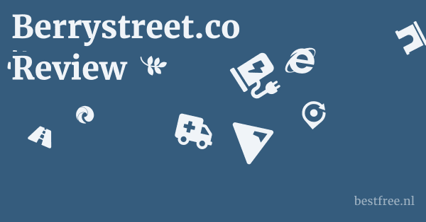 Berrystreet.co Review 1 by BestFREE.nl