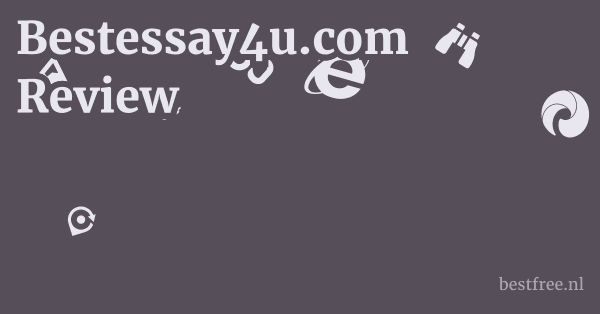 Bestessay4u.com Review 1 by BestFREE.nl