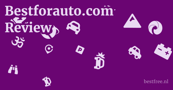 Bestforauto.com Review 1 by BestFREE.nl