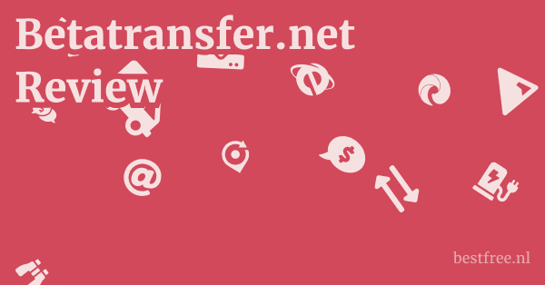 Betatransfer.net Review 1 by BestFREE.nl