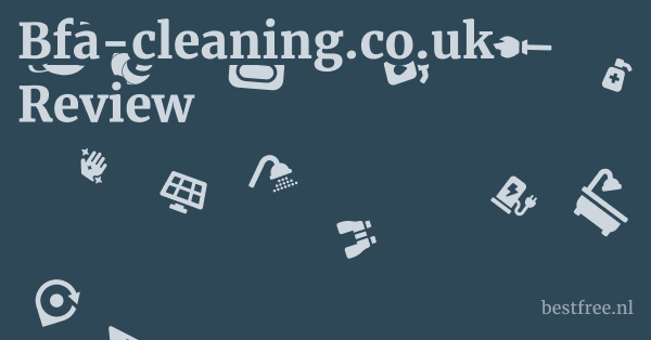 Bfa-cleaning.co.uk Review 1 by BestFREE.nl