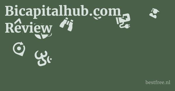 Bicapitalhub.com Review 1 by BestFREE.nl