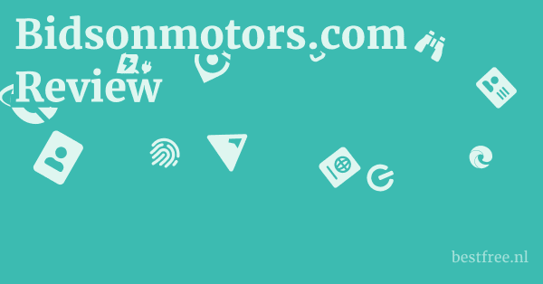 Bidsonmotors.com Review 1 by BestFREE.nl