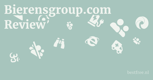 Bierensgroup.com Review 1 by BestFREE.nl
