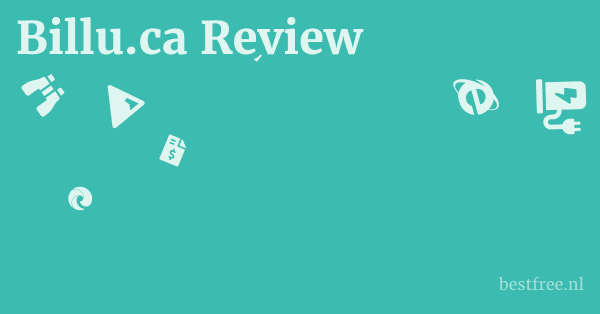 Billu.ca Review