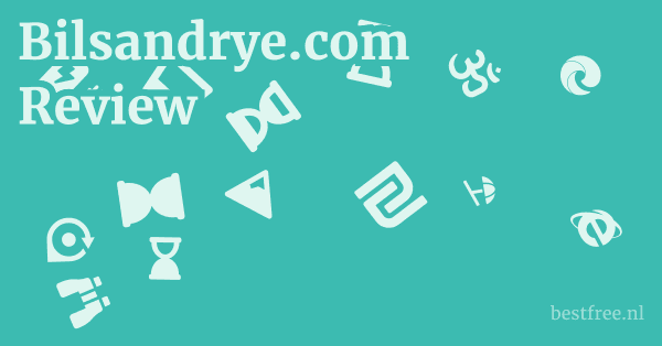 Bilsandrye.com Review 1 by BestFREE.nl