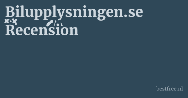 Bilupplysningen.se Recension 1 by BestFREE.nl