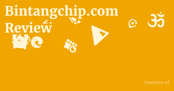 Bintangchip.com Review 1 by BestFREE.nl