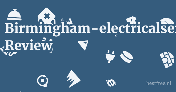 Birmingham-electricalservices.co.uk Review 1 by BestFREE.nl