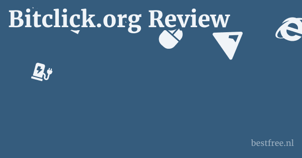 Bitclick.org Review 1 by BestFREE.nl
