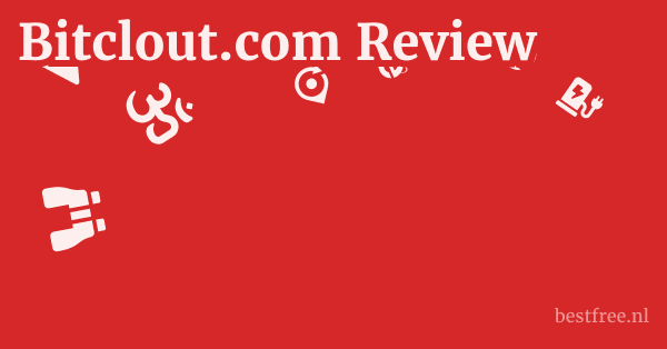 Bitclout.com Review 1 by BestFREE.nl