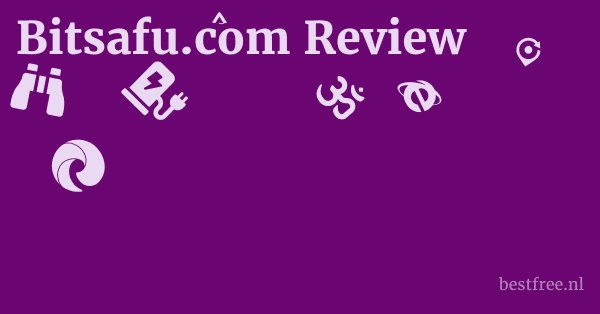 Bitsafu.com Review 1 by BestFREE.nl