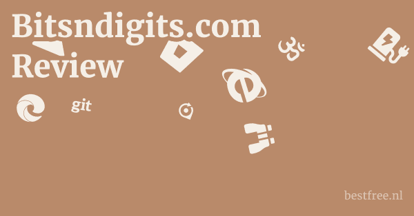 Bitsndigits.com Review 1 by BestFREE.nl