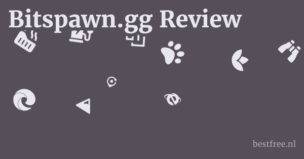 Bitspawn.gg Review 1 by BestFREE.nl