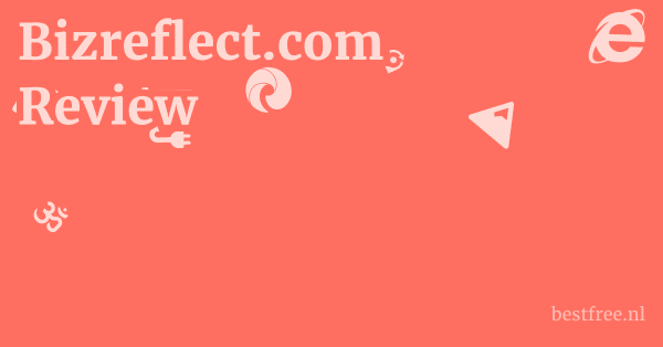 Bizreflect.com Review 1 by BestFREE.nl
