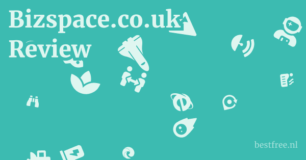 Bizspace.co.uk Review 1 by BestFREE.nl