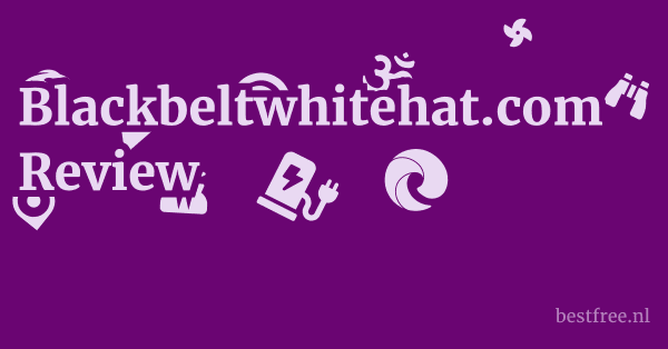 Blackbeltwhitehat.com Review 1 by BestFREE.nl