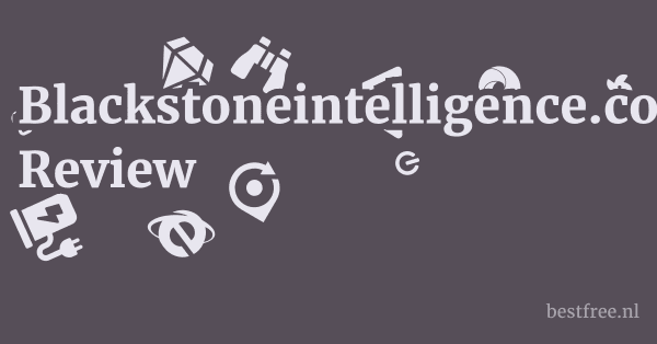 Blackstoneintelligence.com Review 1 by BestFREE.nl