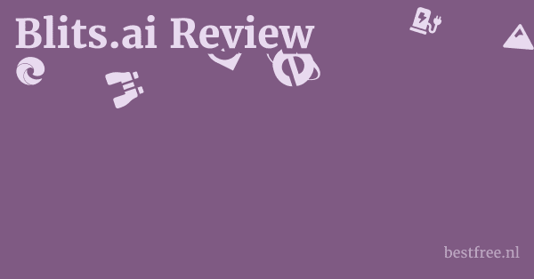 Blits.ai Review 1 by BestFREE.nl