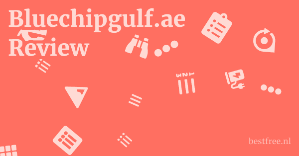 Bluechipgulf.ae Review 1 by BestFREE.nl