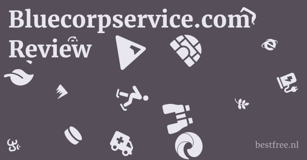 Bluecorpservice.com Review 1 by BestFREE.nl