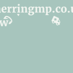 Blueherringmp.co.uk Review 9 by BestFREE.nl