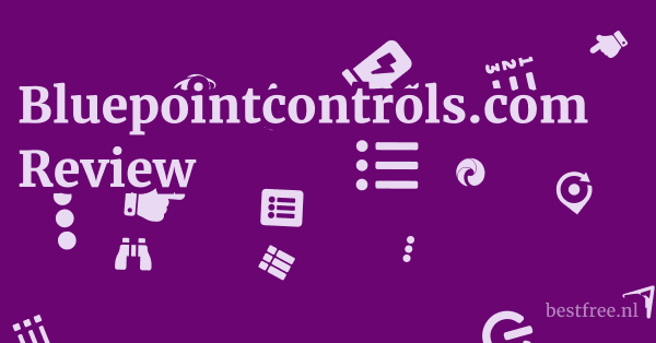 Bluepointcontrols.com Review 1 by BestFREE.nl