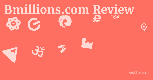 Bmillions.com Review 1 by BestFREE.nl
