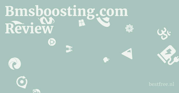 Bmsboosting.com Review 1 by BestFREE.nl