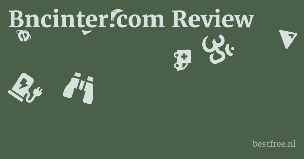 Bncinter.com Review 1 by BestFREE.nl