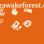 Bodegawakeforest.com Review 7 by BestFREE.nl