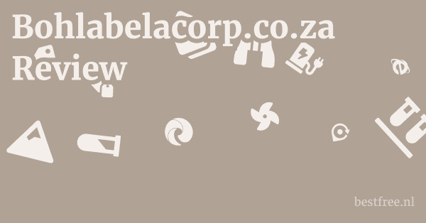 Bohlabelacorp.co.za Review