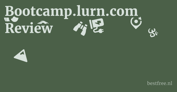 Bootcamp.lurn.com Review 1 by BestFREE.nl