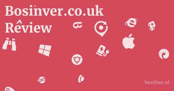 Bosinver.co.uk Review 1 by BestFREE.nl