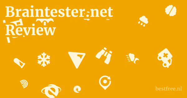 Braintester.net Review 1 by BestFREE.nl