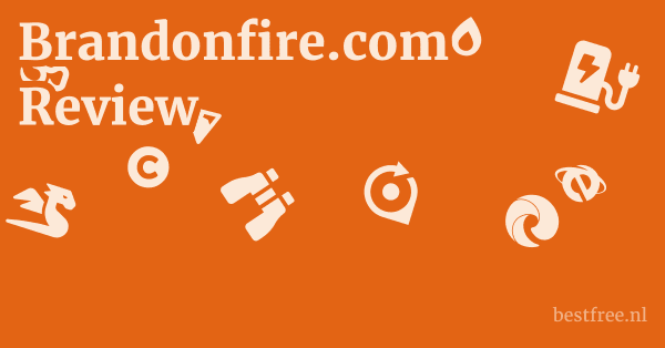 Brandonfire.com Review 1 by BestFREE.nl