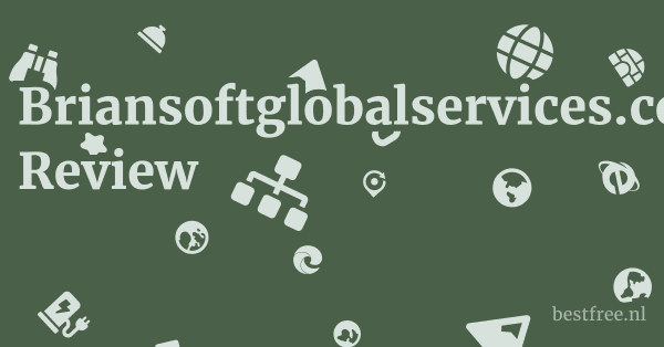 Briansoftglobalservices.com Review 1 by BestFREE.nl