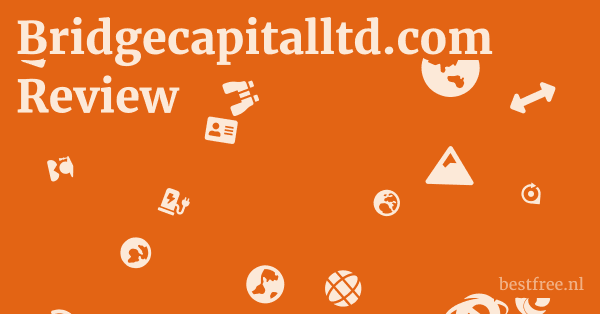 Bridgecapitalltd.com Review 1 by BestFREE.nl