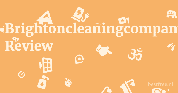Brightoncleaningcompany.co.uk Review 1 by BestFREE.nl
