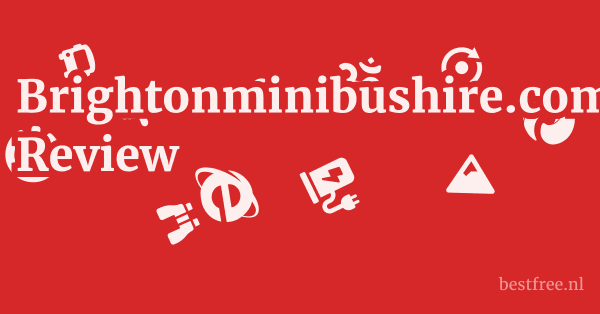 Brightonminibushire.com Review 1 by BestFREE.nl